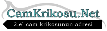 Cam Krikosu